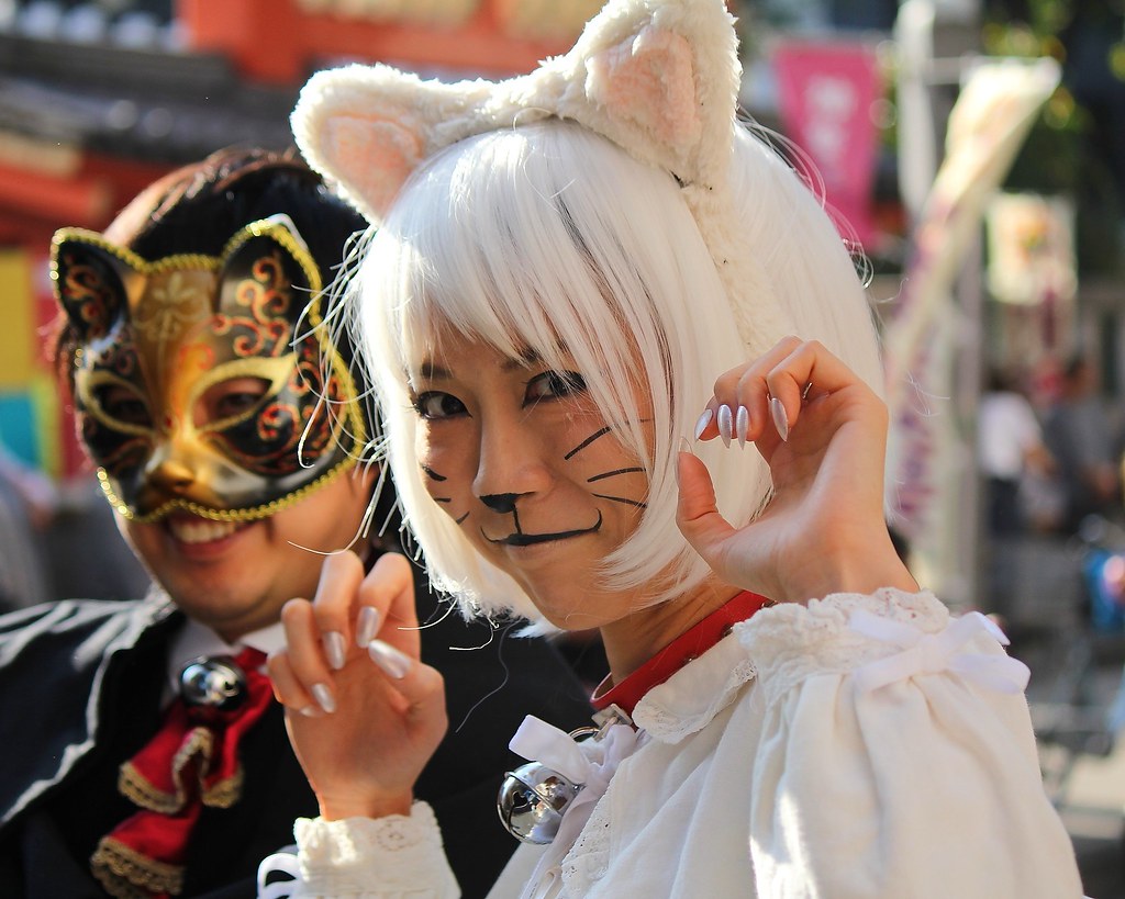Tìm hiểu về lễ hội hóa trang mèo Kagurazaka Bakeneko