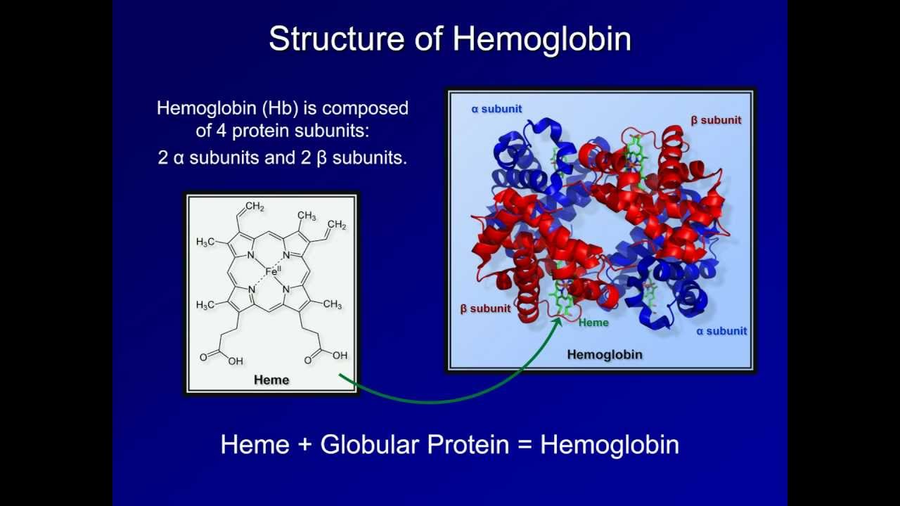 Methemoglobin máu (MeHb) là gì?